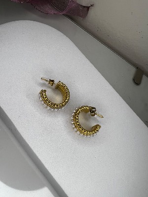 Stainless Steel Earrings  1
