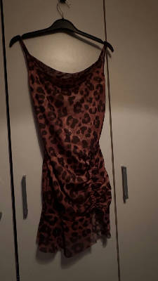 Leopard dress  1