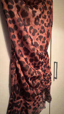 Leopard dress  2