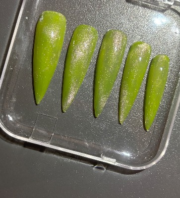 Press on nails 2