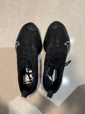 nike zoom x