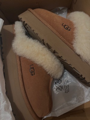 ugg Disquette Chestnut