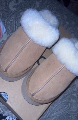 ugg Disquette Chestnut 2