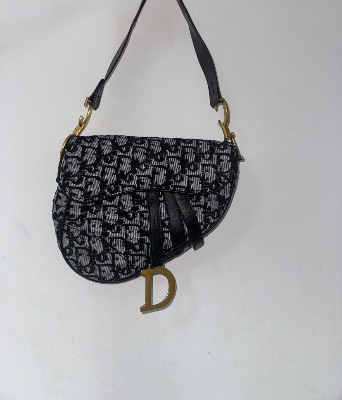 Dior bag 1